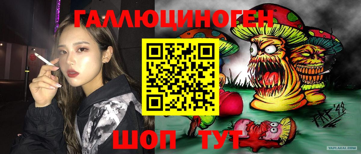 Псков  Псилоцибиновые грибы GOLDEN TEACHER  Вход с VPN 